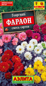 Георгина Фараон, смесь  купить