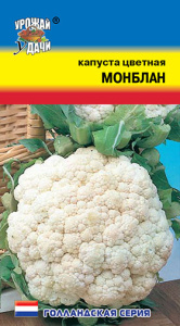 Капуста (цветная) Монблан  купить