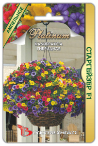 Калибрахоа Старгейзер F1  гибридная композиция купить