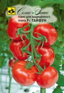 Томат Тайфун F1 купить
