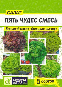 Салат Пять Чудес Смесь  купить