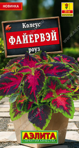 Колеус Файервэй роуз Мн Sakata купить