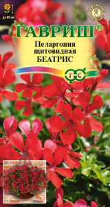 Пеларгония ампельная Беатрис купить