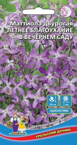 Маттиола двурогая Летнее благоухание в вечернем саду купить