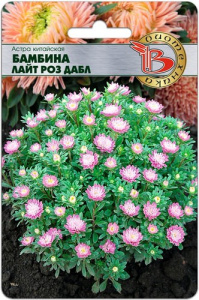 Астра Бамбина Лайт Роз Дабл китайская купить