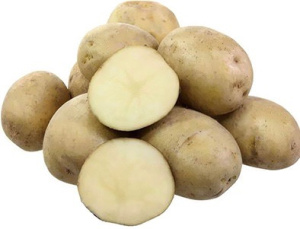 Картофель семенной Голубизна 2кг (суперэлита) купить