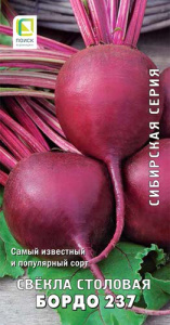 Свекла Бордо 237 купить