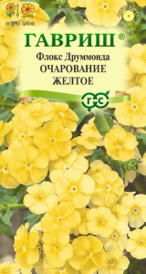 Флокс Очарование желтое друммонди купить