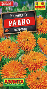 Календула Радио махровая  купить