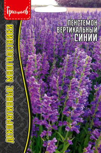 Пенстемон Синий вертикальный купить