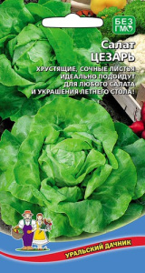 Салат Цезарь купить