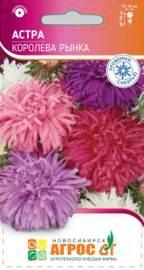 Астра Королева Рынка купить