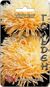 Астра Дракон Гольден  купить