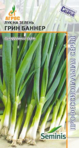 Лук Грин Баннер, на зелень купить