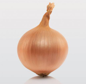 Лук севок Стурон (Россия)1кг купить