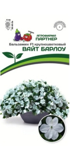 Бальзамин Уоллера F1 Вайт Барлоу  купить