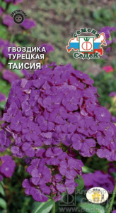 Гвоздика Таисия  купить