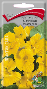 Настурция большая Золотой блик купить