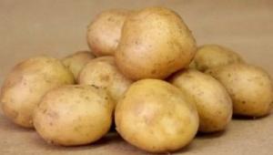 Картофель семенной Колобок 2кг (Суперэлита) купить