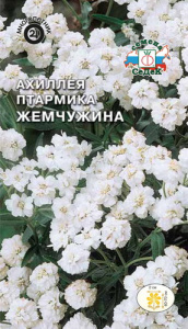 Ахиллея Жемчужина купить