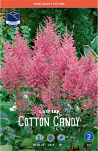 Астильба arendsii Cotton Candy /1шт купить