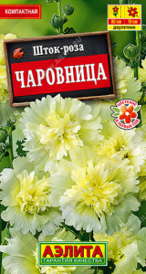 Шток-роза Чаровница  купить