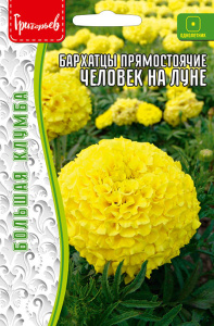 Бархатцы Человек на Луне прямостоячие купить
