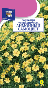 Бархатцы Лимонный Самоцвет купить