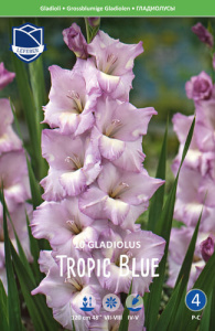 Гладиолус XXL Tropic Blue 14/16 /10шт купить