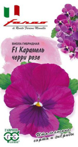 Виола Виттрока Карамель черри розе F1 Фарао купить