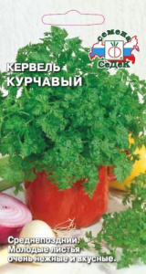 Кервель Курчавый  купить