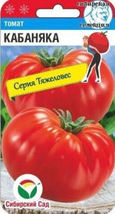 Томат Кабаняка купить