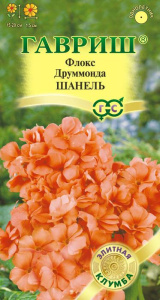 Флокс Шанель друммонда купить