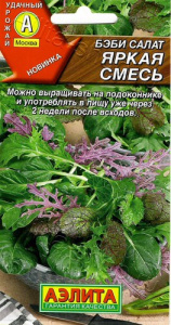 Салат Бэби Яркая смесь  купить