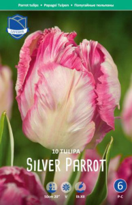 Тюльпан попугайный "Silver Parrot" (1х10шт) купить