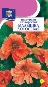 Настурция Малышка лососевая низкорослая  купить