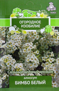 Алиссум Бимбо белый купить