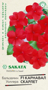 Бальзамин Уоллера F1 Карнавал Скарлет купить