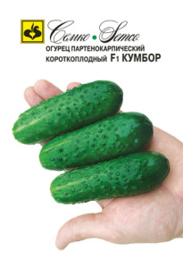Огурец Кумбор F1  купить