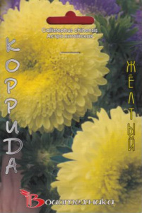 Астра Коррида Жёлтая китайская купить