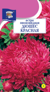 Астра Дюшес красная пионовидная купить
