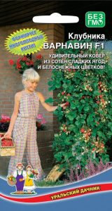 Клубника ампельная Варнавин F1 купить