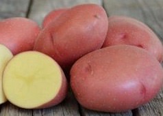 Картофель семенной Розара (Э) 2кг купить