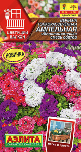 Вербена Ампельная обильноцветущая, смесь Цветущий балкон  купить