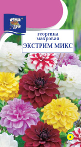 Георгина Экстрим, смесь  купить