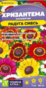 Хризантема Радуга смесь килеватая купить
