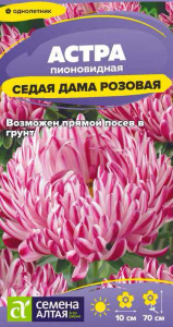 Астра Седая Дама Розовая  купить