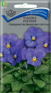 Фиалка Совершенство фиолетово-голубая рогатая купить