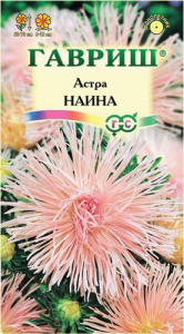 Астра Наина роз.- кремовая игольчатая купить