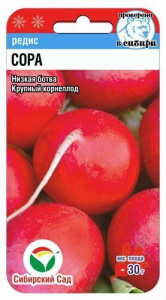 Редис Сора F1 купить